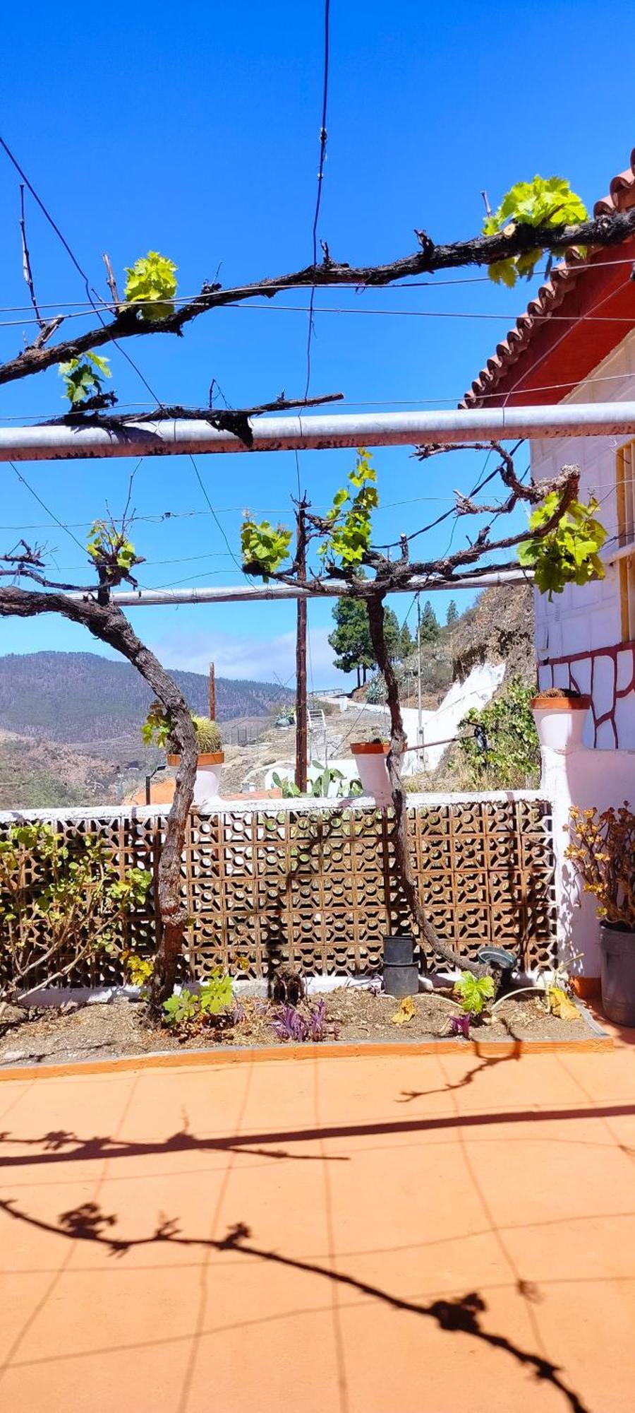 Casa Cueva Rural Trebola, Artenara Juncalillo Exterior foto